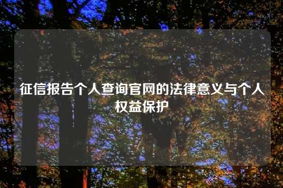 征信报告个人查询官网的法律意义与个人权益保护