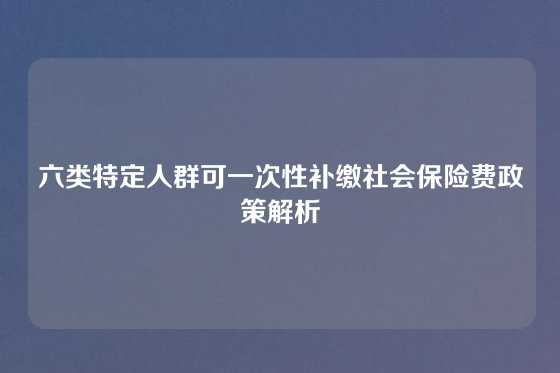 六类特定人群可一次性补缴社会保险费政策解析