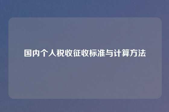 国内个人税收征收标准与计算方法