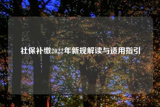 社保补缴2022年新规解读与适用指引