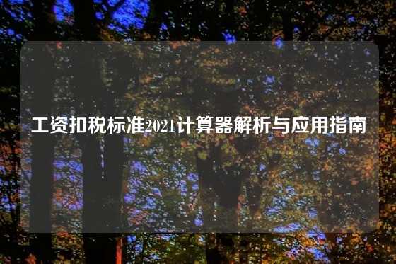 工资扣税标准2021计算器解析与应用指南