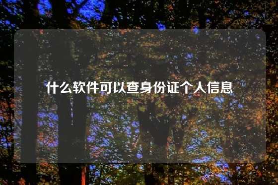 什么软件可以查身份证个人信息