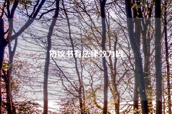 协议书有法律效力吗