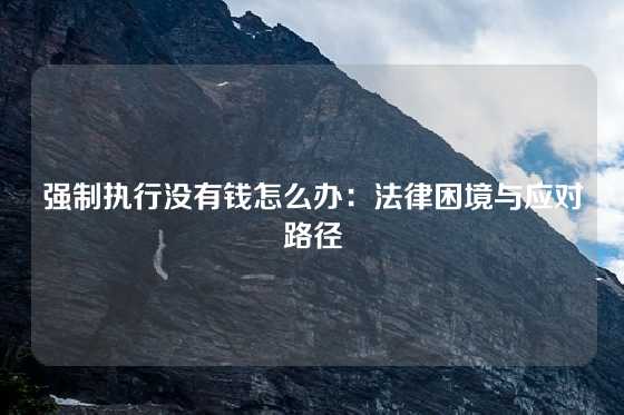 强制执行没有钱怎么办：法律困境与应对路径