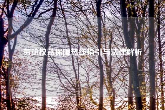 劳动权益保障热线指引与法律解析