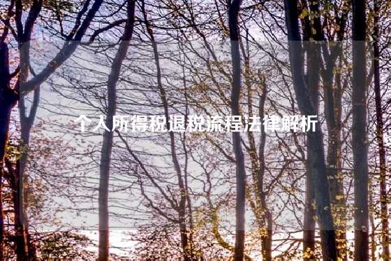 个人所得税退税流程法律解析