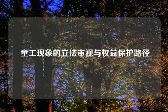  童工现象的立法审视与权益保护路径