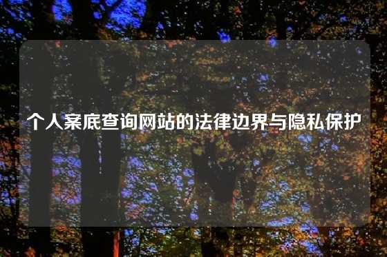 个人案底查询网站的法律边界与隐私保护