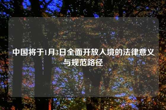 中国将于1月3日全面开放入境的法律意义与规范路径