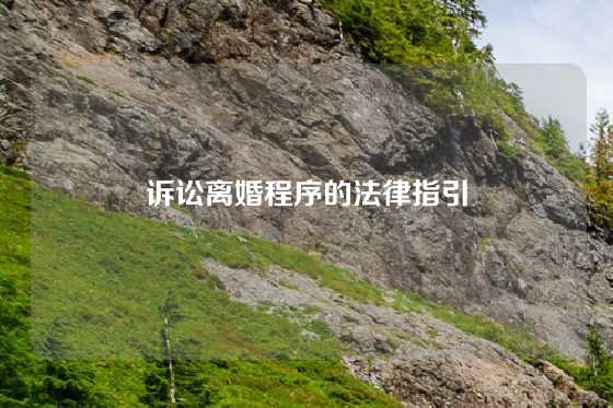 诉讼离婚程序的法律指引