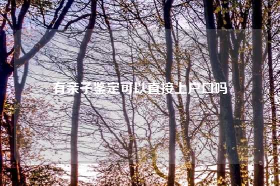 有亲子鉴定可以直接上户口吗