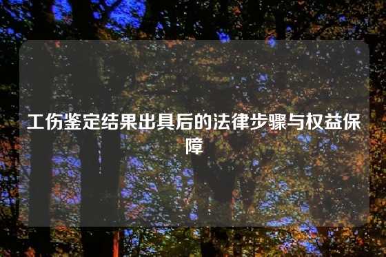 工伤鉴定结果出具后的法律步骤与权益保障