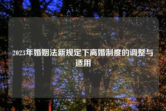 2023年婚姻法新规定下离婚制度的调整与适用
