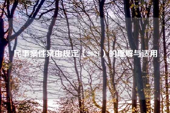 民事案件案由规定（2021）的理解与适用