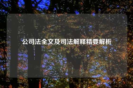 公司法全文及司法解释精要解析
