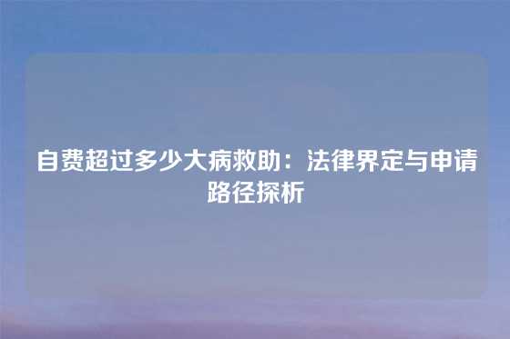 自费超过多少大病救助：法律界定与申请路径探析