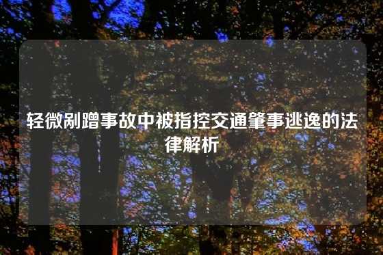 轻微剐蹭事故中被指控交通肇事逃逸的法律解析