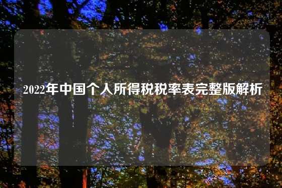  2022年中国个人所得税税率表完整版解析