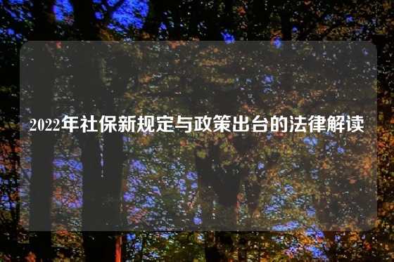 2022年社保新规定与政策出台的法律解读