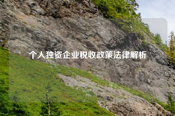 个人独资企业税收政策法律解析