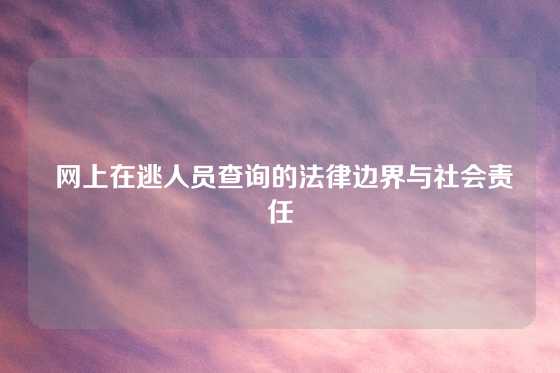  网上在逃人员查询的法律边界与社会责任