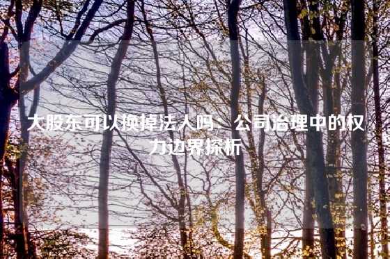 大股东可以换掉法人吗：公司治理中的权力边界探析