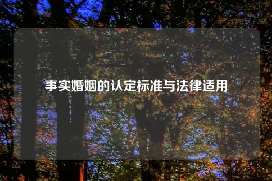 事实婚姻的认定标准与法律适用