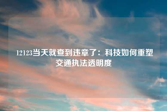  12123当天就查到违章了：科技如何重塑交通执法透明度
