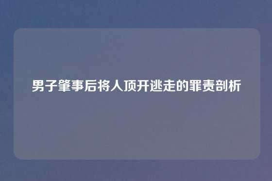 男子肇事后将人顶开逃走的罪责剖析