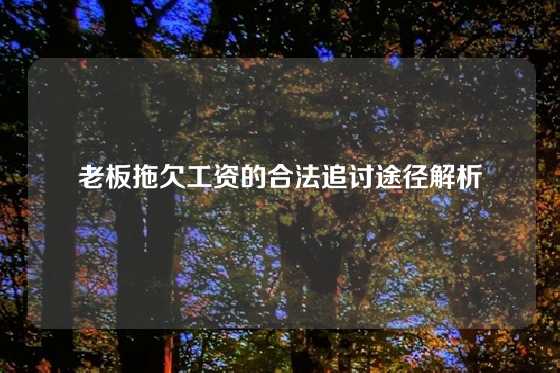 老板拖欠工资的合法追讨途径解析