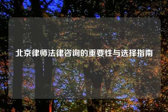 北京律师法律咨询的重要性与选择指南