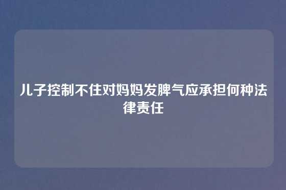 儿子控制不住对妈妈发脾气应承担何种法律责任
