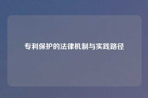 专利保护的法律机制与实践路径