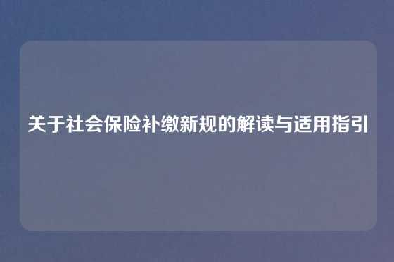 关于社会保险补缴新规的解读与适用指引