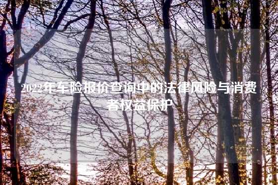 2022年车险报价查询中的法律风险与消费者权益保护