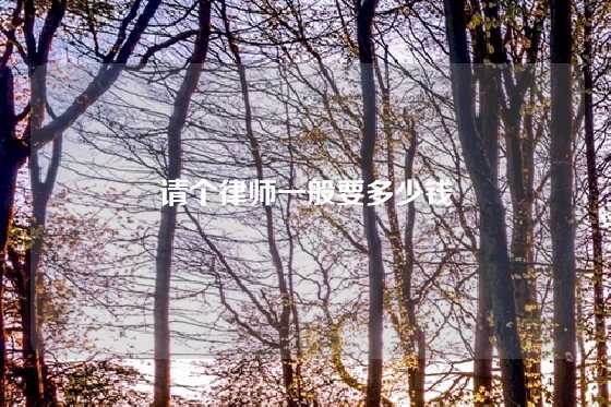 请个律师一般要多少钱