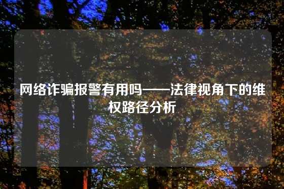 网络诈骗报警有用吗——法律视角下的维权路径分析