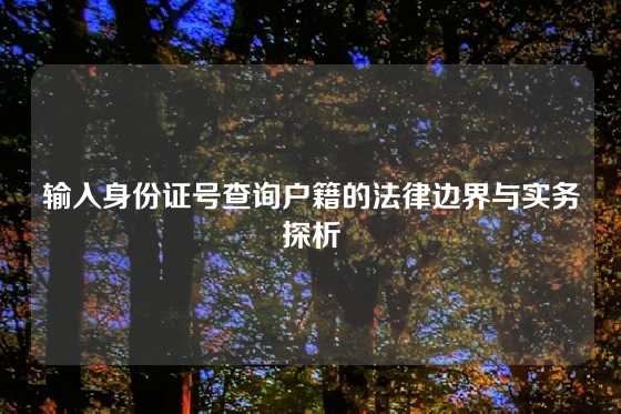 输入身份证号查询户籍的法律边界与实务探析