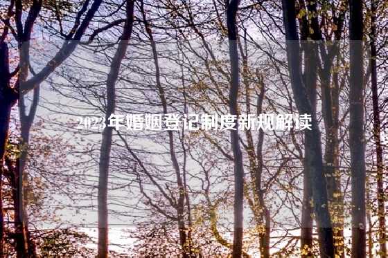 2023年婚姻登记制度新规解读