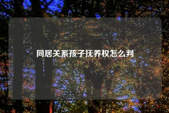 同居关系孩子抚养权怎么判