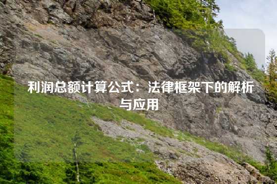  利润总额计算公式：法律框架下的解析与应用