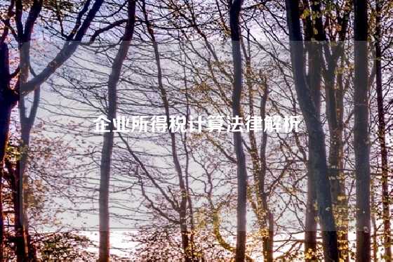 企业所得税计算法律解析