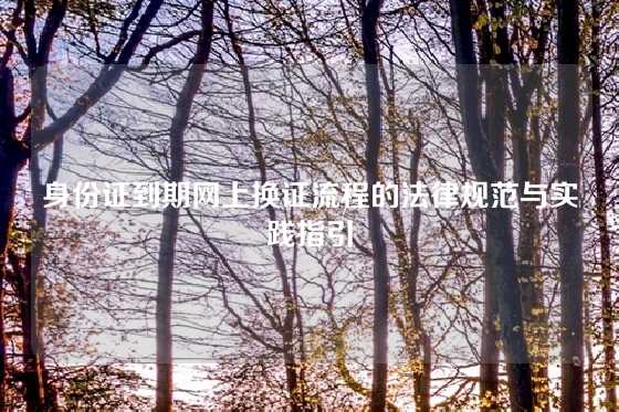 身份证到期网上换证流程的法律规范与实践指引