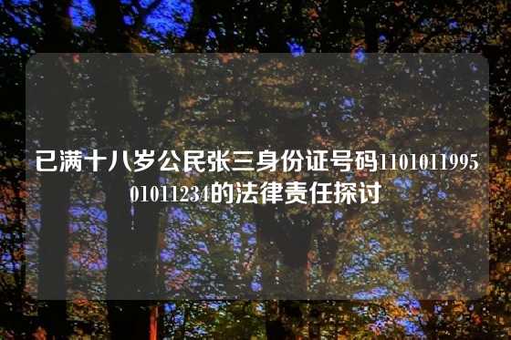 已满十八岁公民张三身份证号码110101199501011234的法律责任探讨