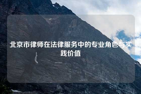 北京市律师在法律服务中的专业角色与实践价值