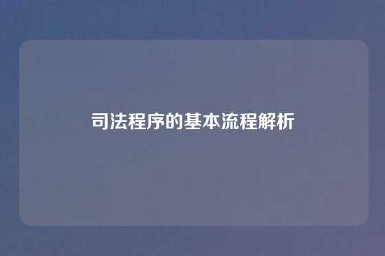 司法程序的基本流程解析