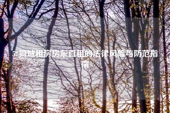 58同城租房房东直租的法律风险与防范指南