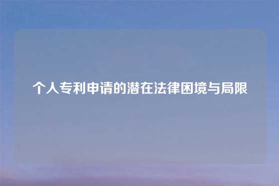 个人专利申请的潜在法律困境与局限