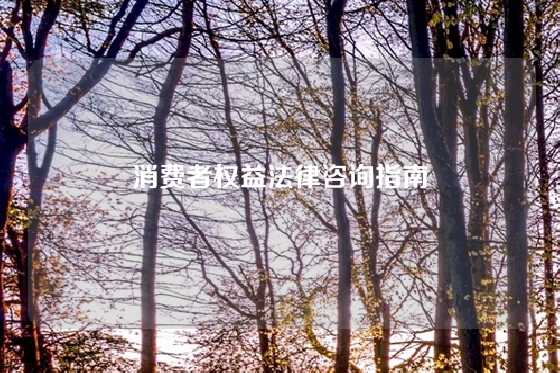 消费者权益法律咨询指南
