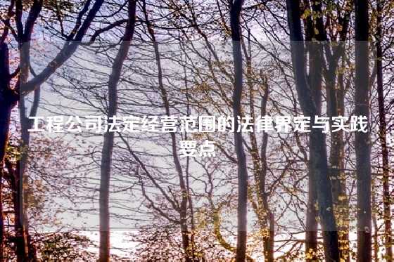 工程公司法定经营范围的法律界定与实践要点